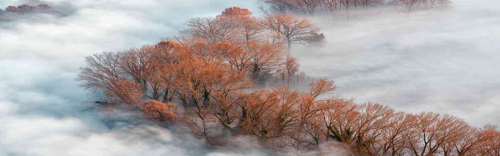 拉斯维加斯游戏